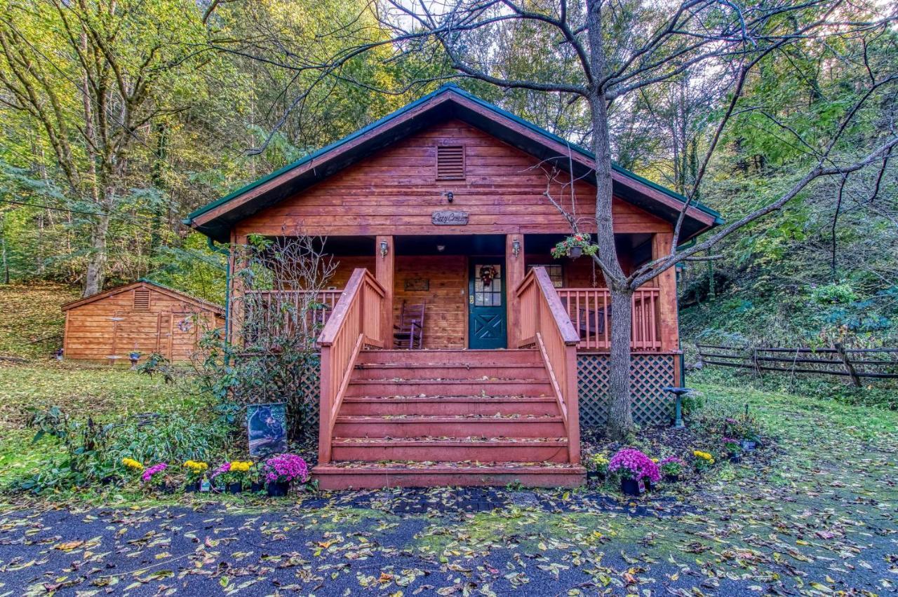 פיג'ן פורג' Cozy Creek Cabin מראה חיצוני תמונה