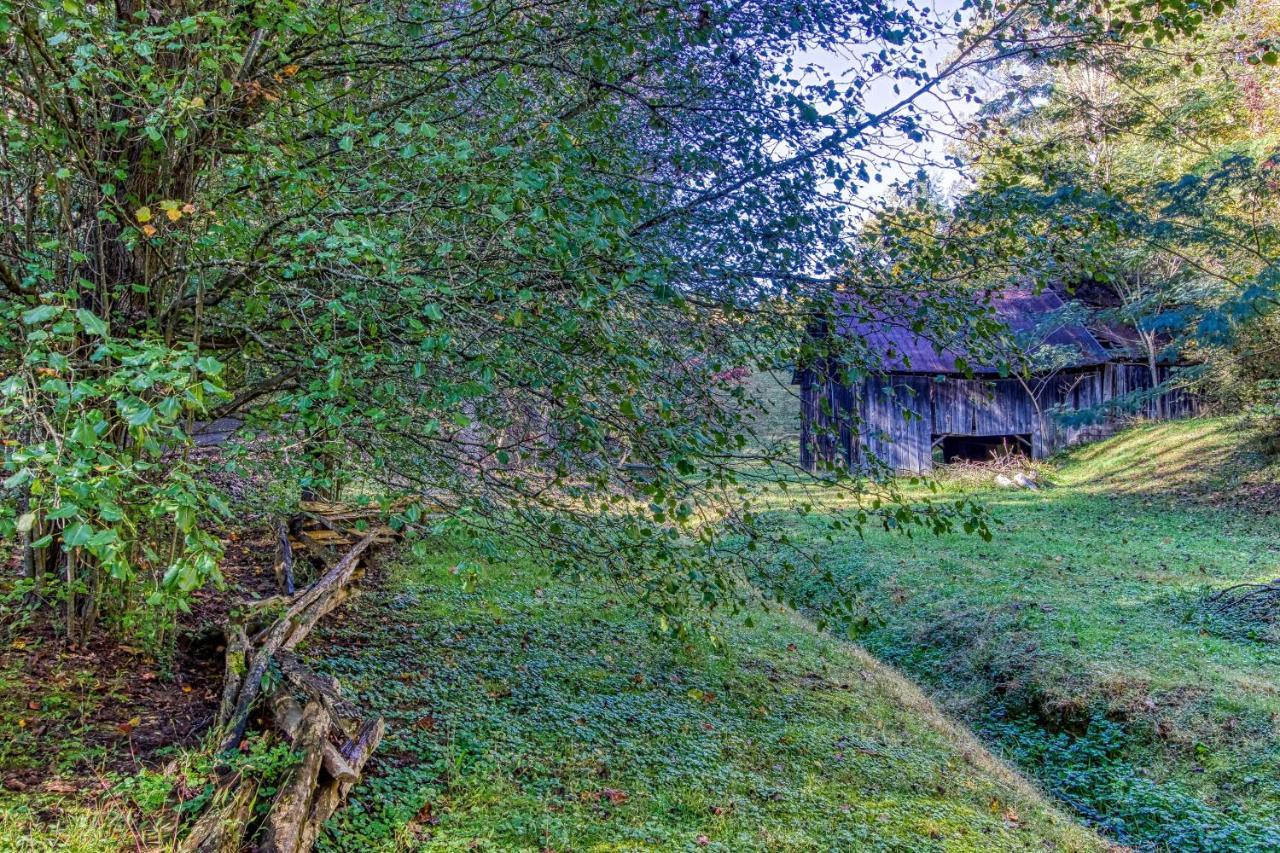 פיג'ן פורג' Cozy Creek Cabin מראה חיצוני תמונה