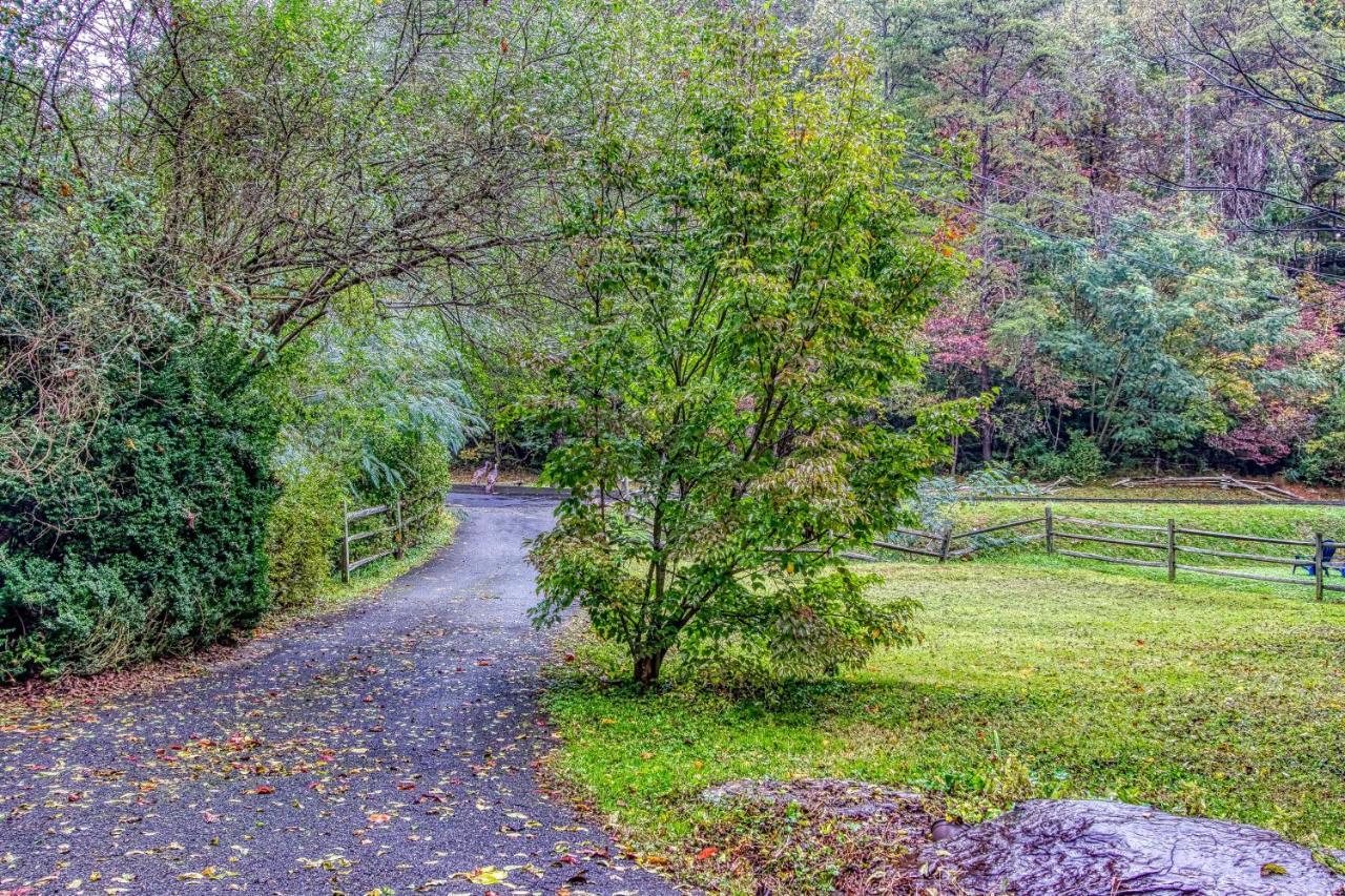 פיג'ן פורג' Cozy Creek Cabin מראה חיצוני תמונה