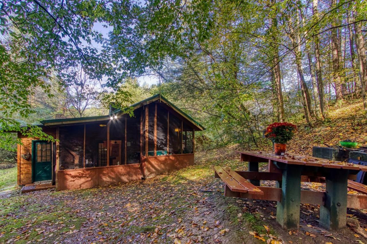 פיג'ן פורג' Cozy Creek Cabin מראה חיצוני תמונה