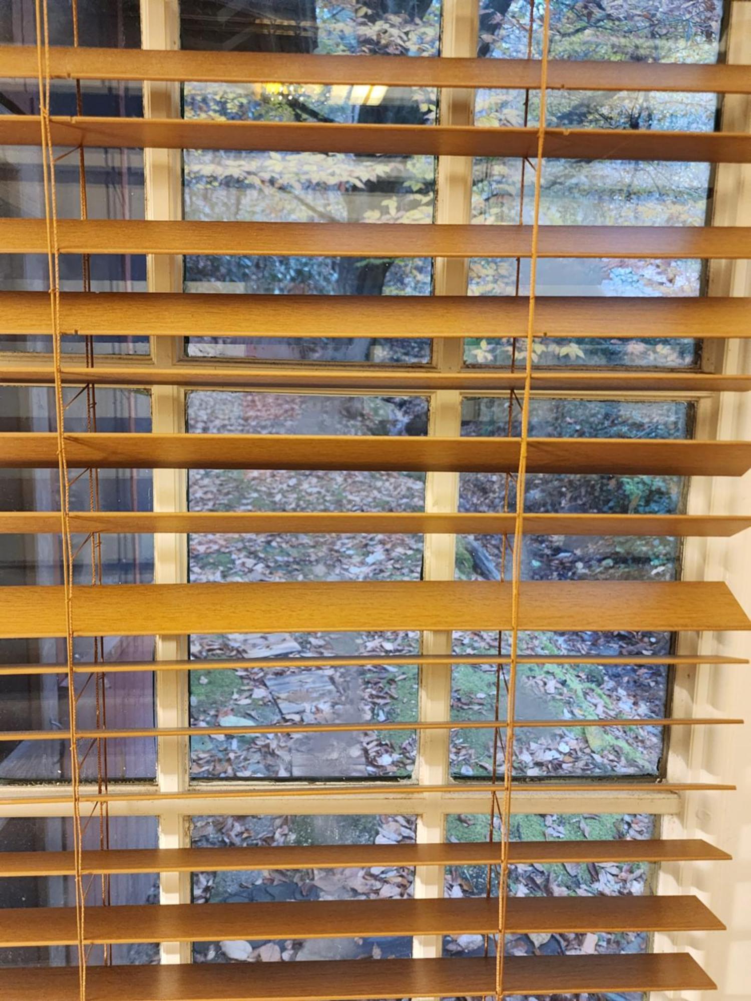 פיג'ן פורג' Cozy Creek Cabin מראה חיצוני תמונה