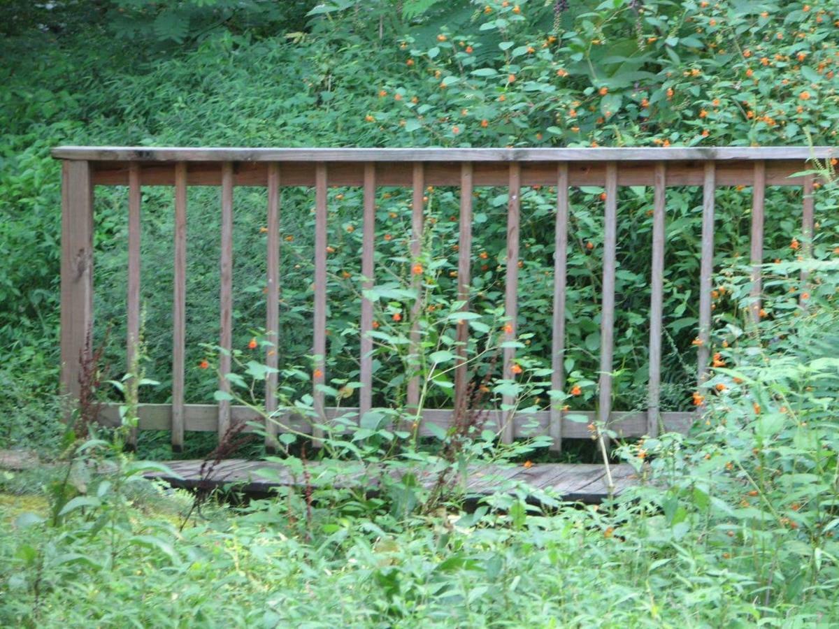 פיג'ן פורג' Cozy Creek Cabin מראה חיצוני תמונה