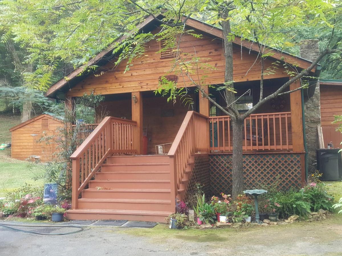 פיג'ן פורג' Cozy Creek Cabin מראה חיצוני תמונה