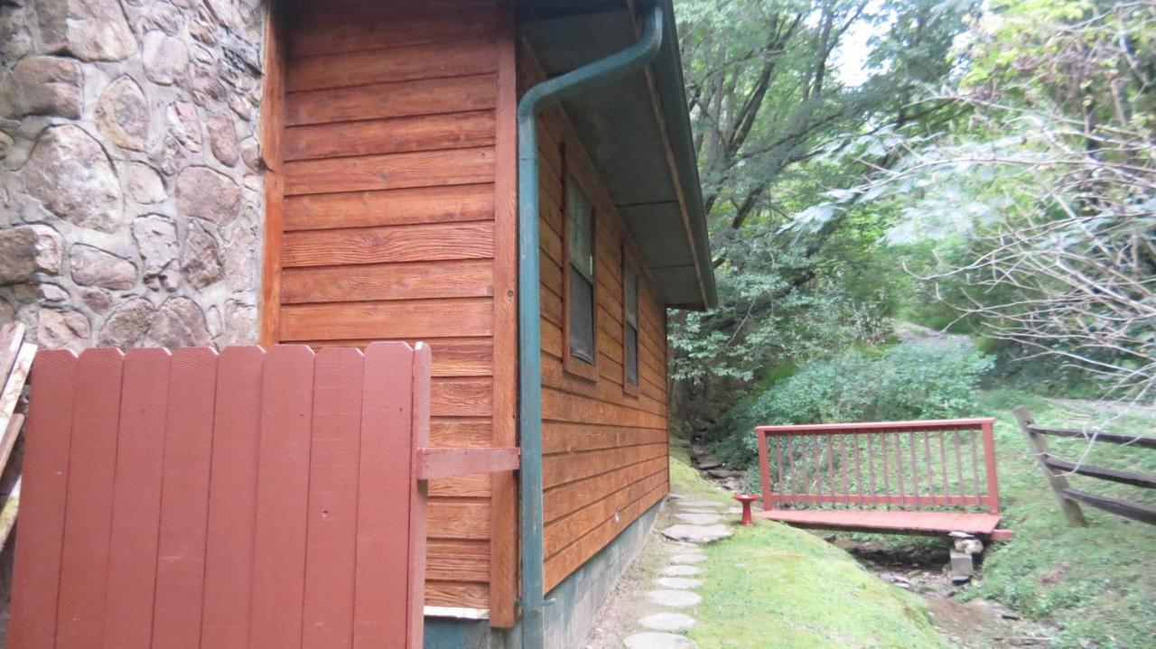 פיג'ן פורג' Cozy Creek Cabin מראה חיצוני תמונה