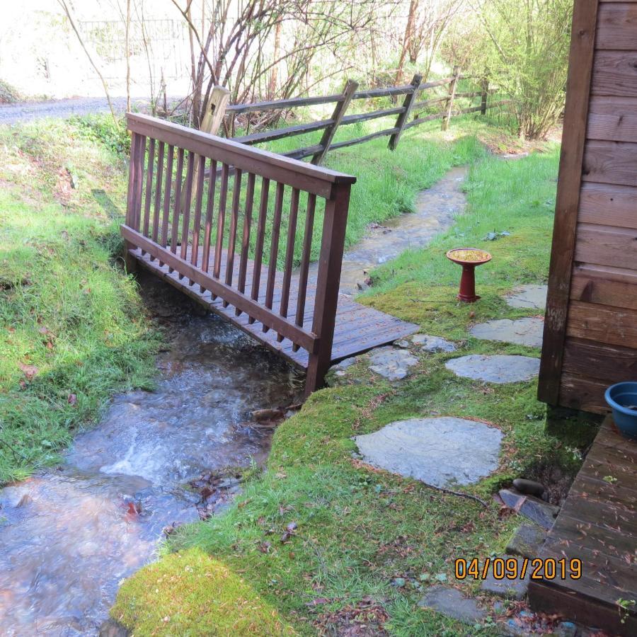 פיג'ן פורג' Cozy Creek Cabin מראה חיצוני תמונה