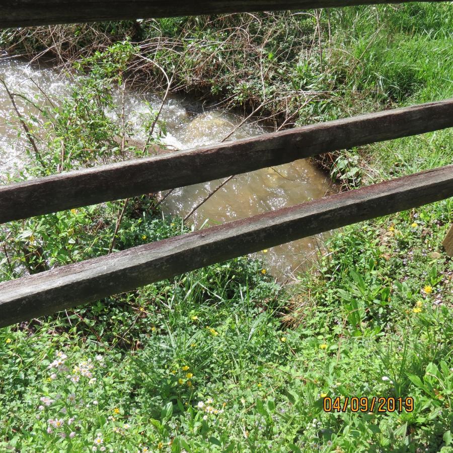 פיג'ן פורג' Cozy Creek Cabin מראה חיצוני תמונה
