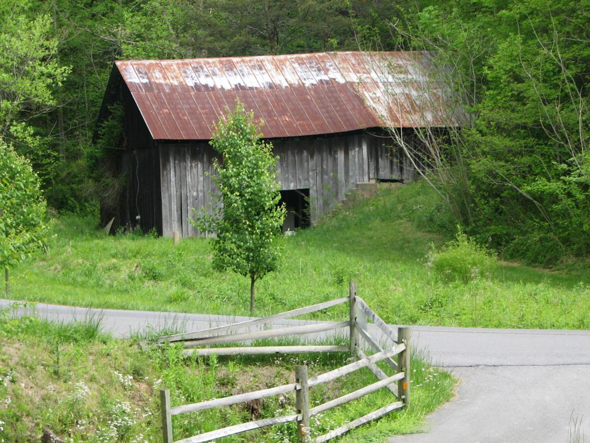 פיג'ן פורג' Cozy Creek Cabin מראה חיצוני תמונה